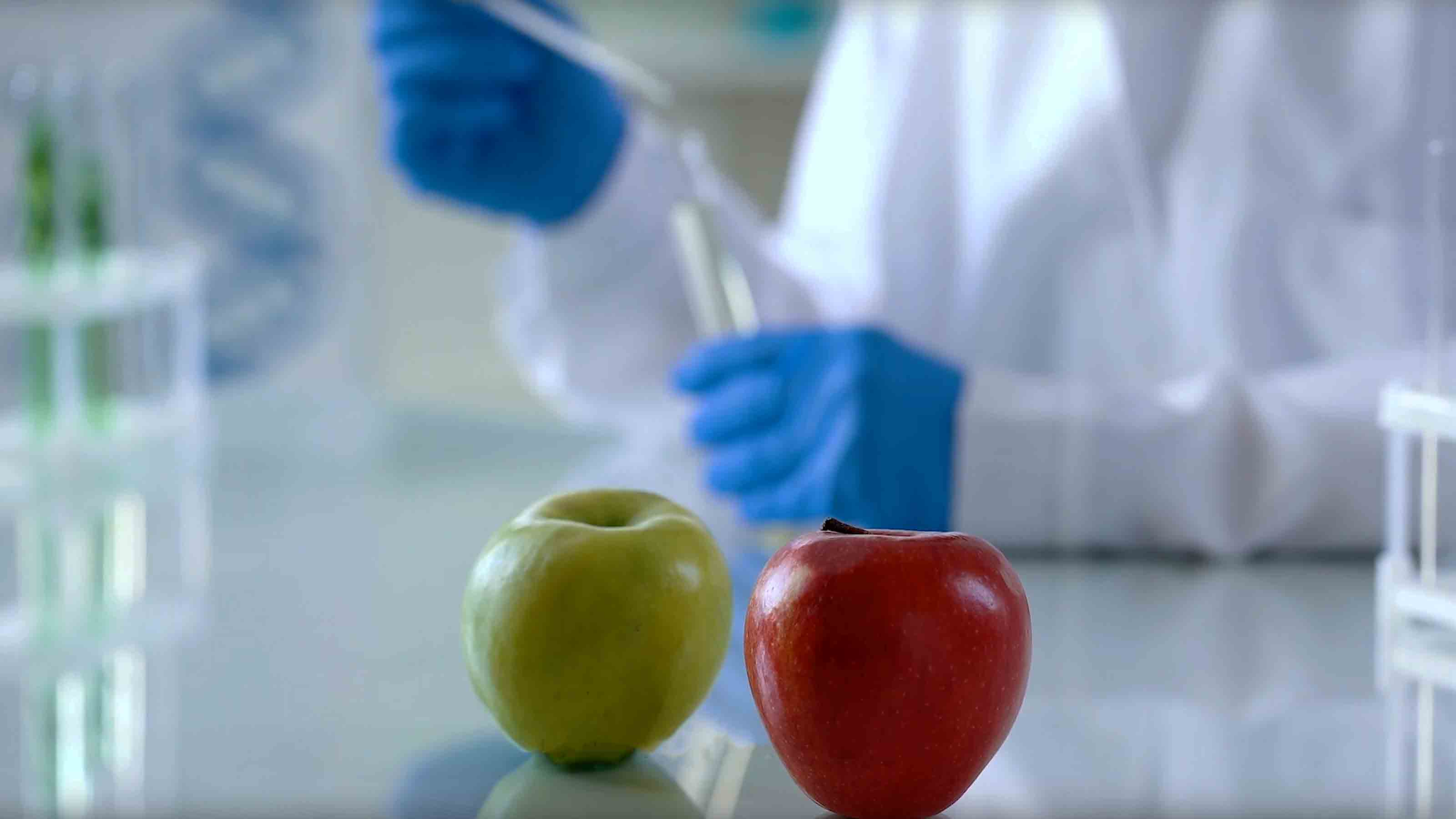 Apples in the laboratory