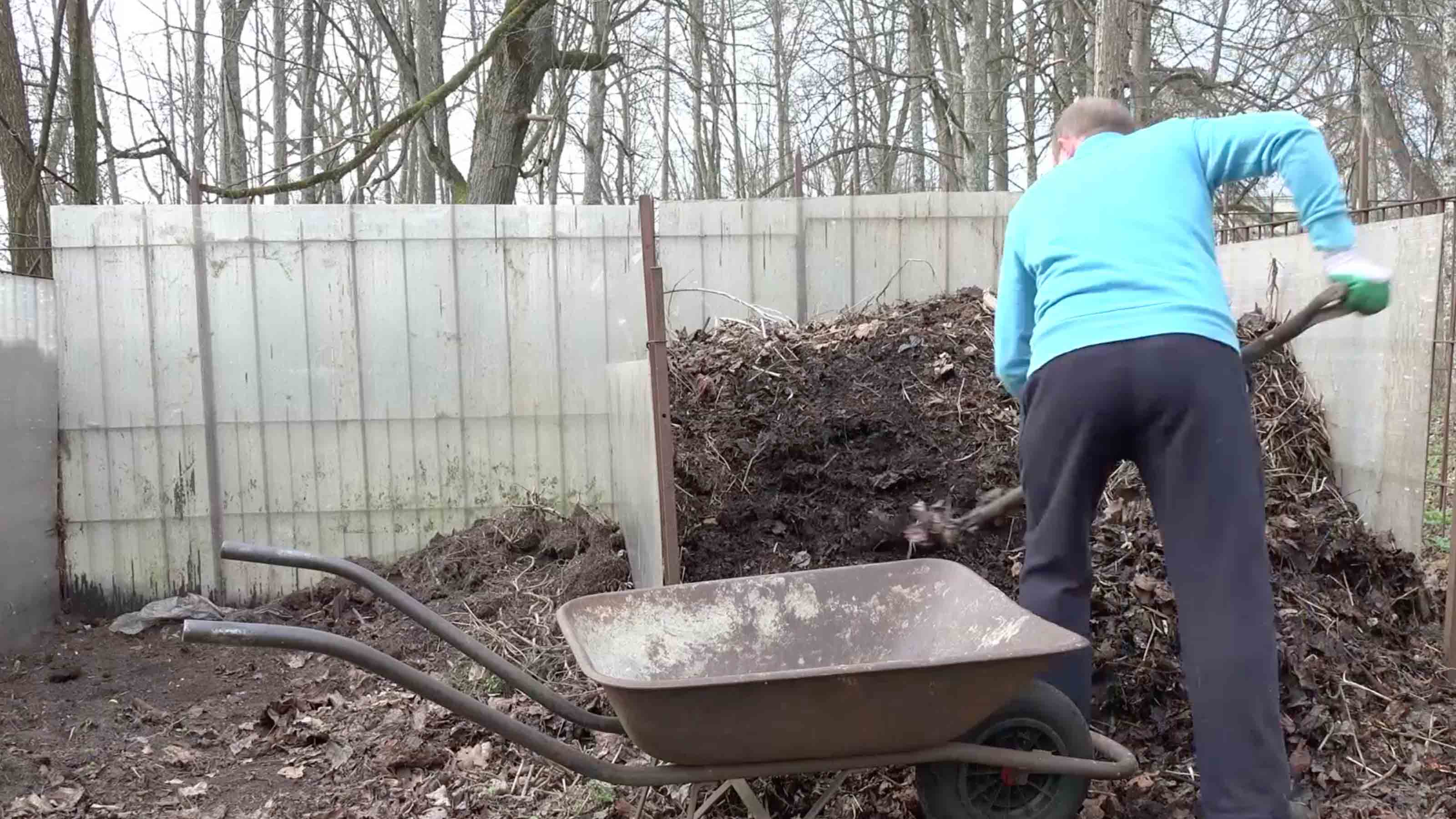 Man shoveling organic waste