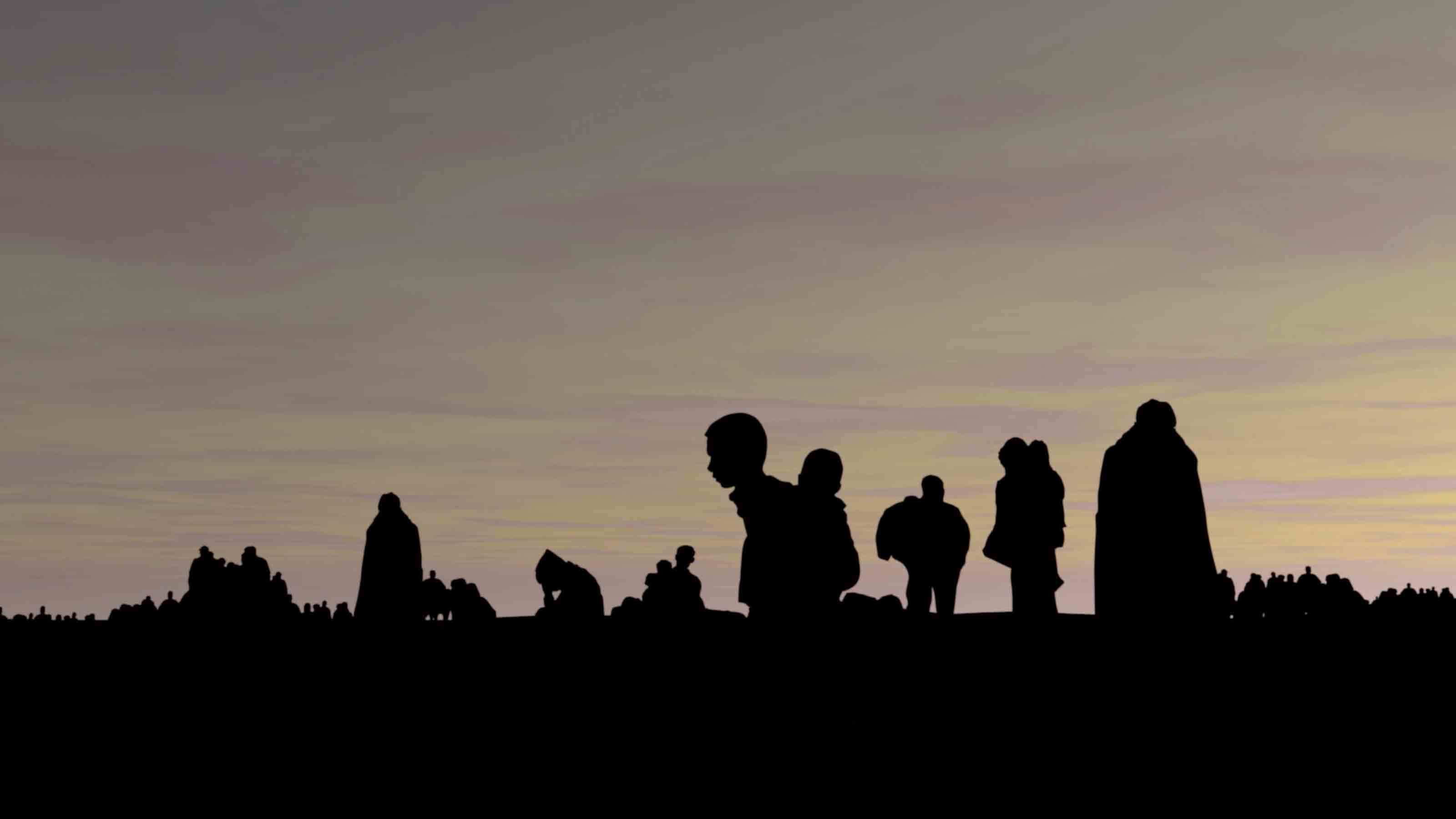 Silhouette of people