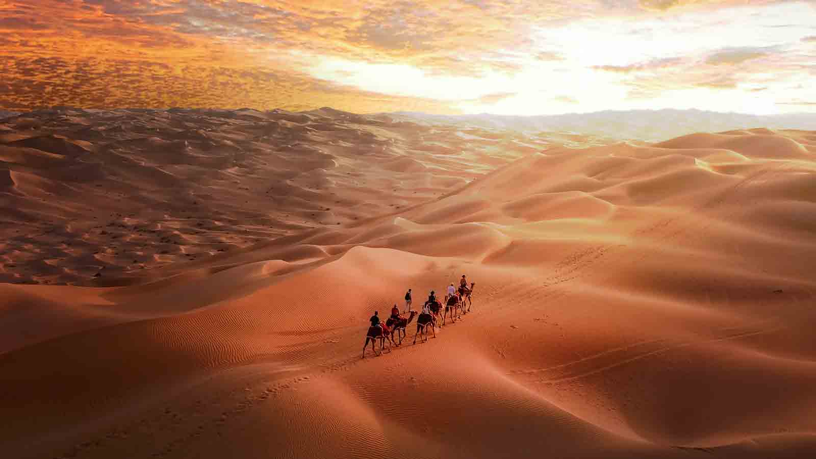 Trekking the sand dunes with camels