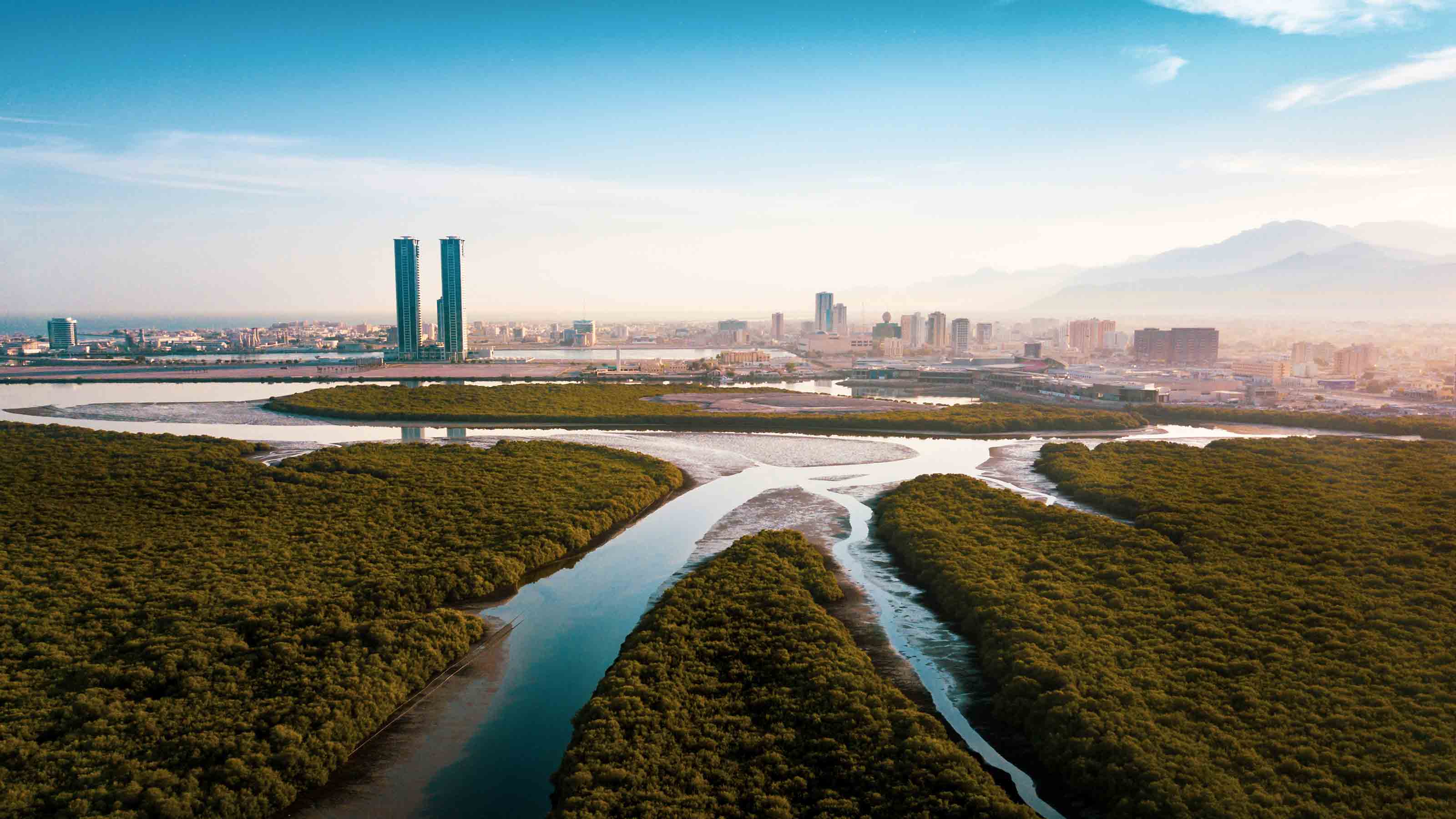 Aerial view of Ras Al Khaimah mangrooves
